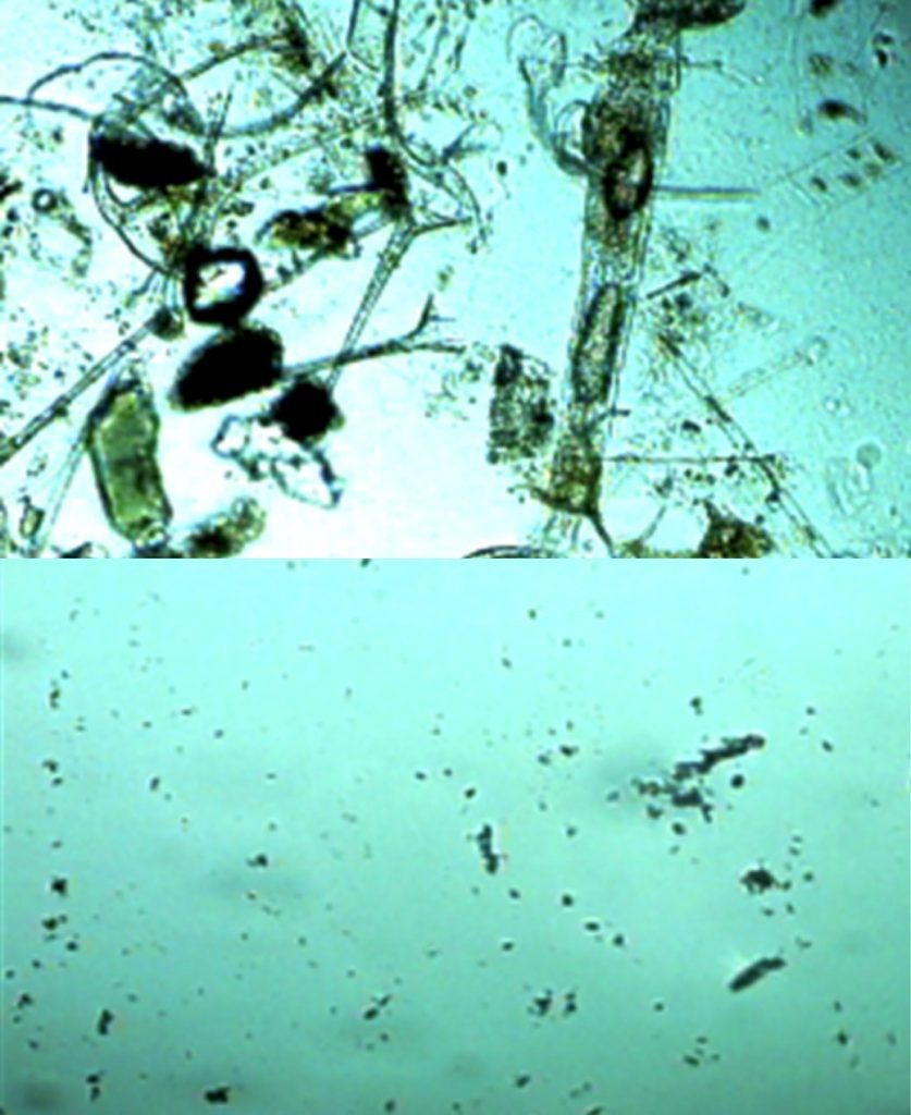 Vannbehandling - Plankton før og etter trykk-vakum